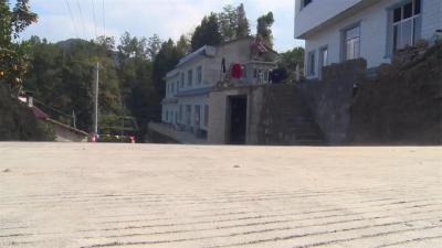 杨勇：加快推进“四好”农村路建设