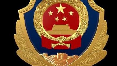 卢辉：坚持从严治警 强化担当作为 维护全县政治安全 社会安定 人民安宁