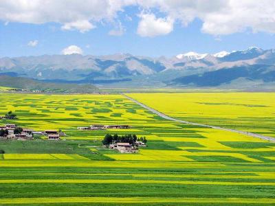 抓好中央脱贫攻坚巡视反馈意见整改 深入开展农村人居环境整治
