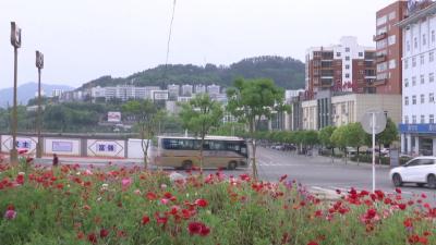 卢辉：提高城市管理水平 努力打造精致城市