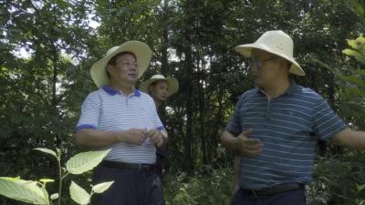 V视丨卢辉在四乡镇暗访调研