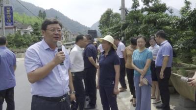 V视丨卢辉：学习高家堰经验 建设美丽乡村