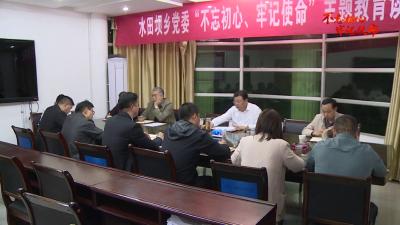 V视丨卢辉赴部分乡镇调研指导主题教育工作