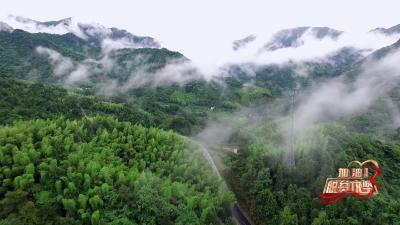 《加油！脱贫攻坚》第八集：闻彬军