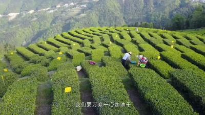 微视频 | 改变贫困的力量