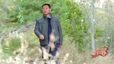《加油！脱贫攻坚》第七集：齐永新