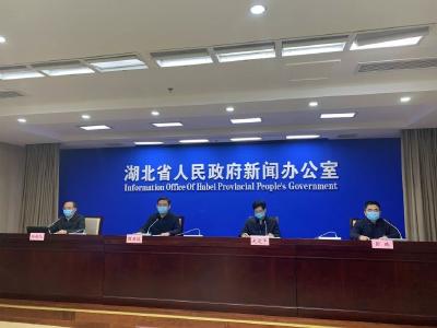 新闻发布会：武汉收治重症和危重症患者床位超万张