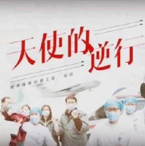 重磅微视频：天使的逆行