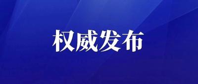 应勇：推动“全面阻击”转向“精准防控”、“按住暂停”转向“重启恢复”！