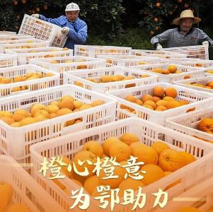 看“鄂”了，就帮湖北拼一单！