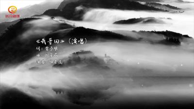 歌曲：《我哥回》