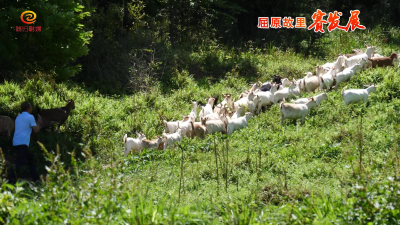 因地制宜发展产业 种植养殖齐头并进