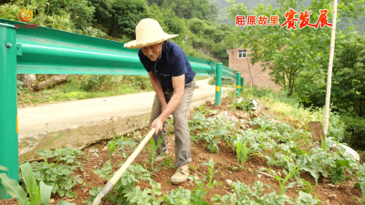 链子崖村：村规民约立起来 乡村治理强起来
