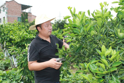 牛！秭归这人入围全国候选人！