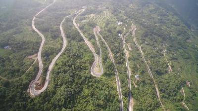 全民植树造林 共建美丽家园