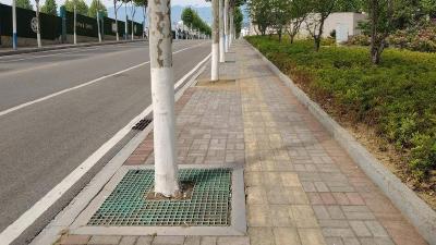 数字城管精准发力 隐患处置跑出“加速度”