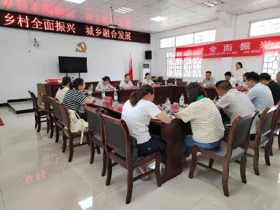 九畹溪镇：村社共建促振兴 城乡融合谋新篇
