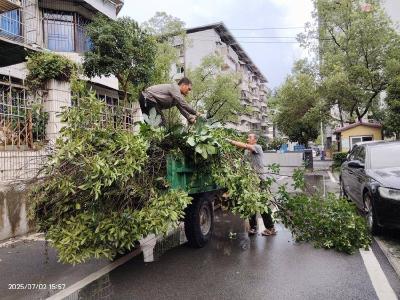 社区物业携手联动 绘就宜居幸福新画卷