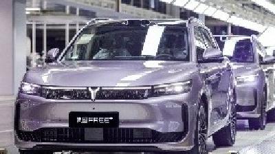 东风汽车加速打造具身智能汽车，岚图实现从电控向智能系统跃迁