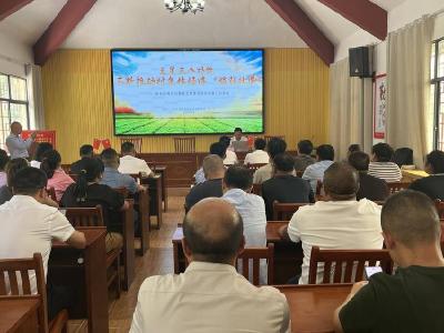 沙镇溪镇开展“‘橙’心取经 拓路突围”外出交流活动