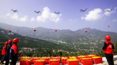 智慧种橙，秭归脐橙的“科技密码”