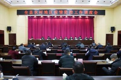 李伦华：压紧压实责任 切实筑牢农村地区疫情防控网