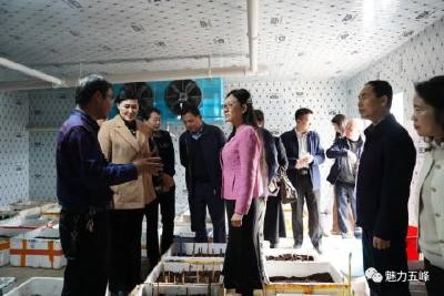 以产业振兴引领乡村全面振兴！省政协来五峰调研