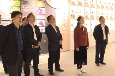 湖北师范大学来我县调研 校地合作促发展 携手建好附属学校