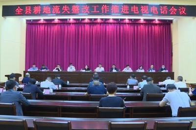 全县耕地保护工作电视电话会议召开