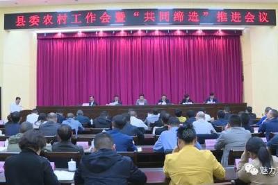 县委农村工作会议暨“共同缔造”会议召开  激发农业农村发展活力 广泛开展共同缔造活动