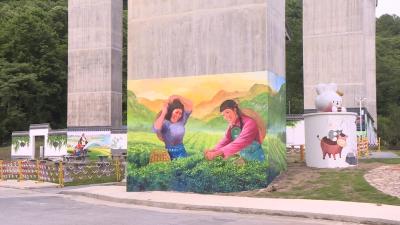 多彩墙画入村来 和美乡村展新颜