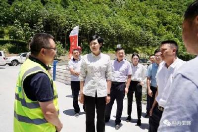 李伦华到渔洋关镇、湾潭镇调研县城规划、耕地保护等工作