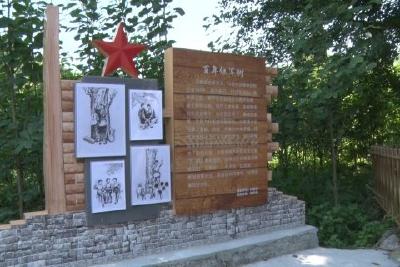 渔洋关镇王家坪村：红色旅游焕发乡村振兴活力