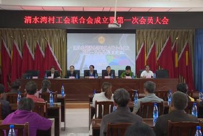 清水湾村工会联合会成立
