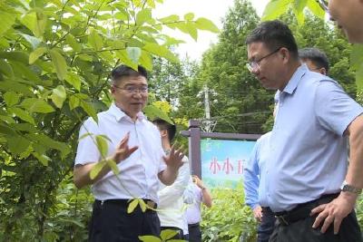澳门大学中药质量研究专家来我县调研中医药健康产业发展