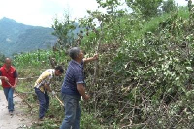 渔洋关镇石柱山村：干群齐上阵 铺就幸福路