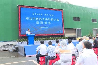 湖北中医药大学来我县开展暑期“三下乡”社会实践活动
