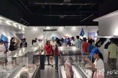 400余名武汉中小学子来我县开展研学活动  体验特色文化 感受茶乡魅力
