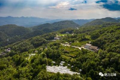 上半年我县旅游综合收入超10亿元