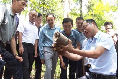“药”您议事 人大代表共话中医药健康产业发展