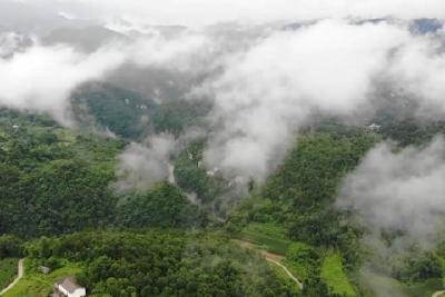 五峰“两山”转化样本：绿水青山捧出金山银山