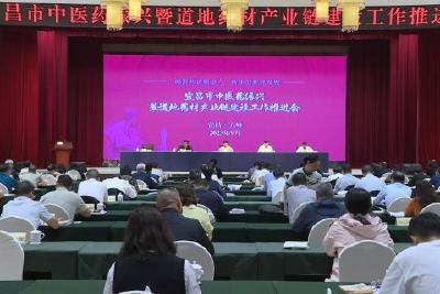 我县被授牌“宜昌市道地药材良种繁殖基地”