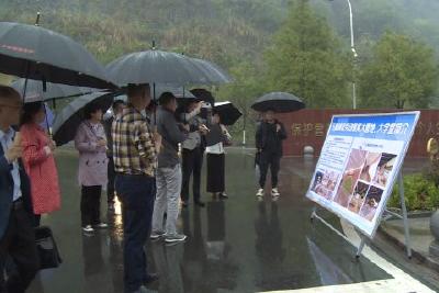 武昌区教育局与县教育局将组建“跨区域教联体”