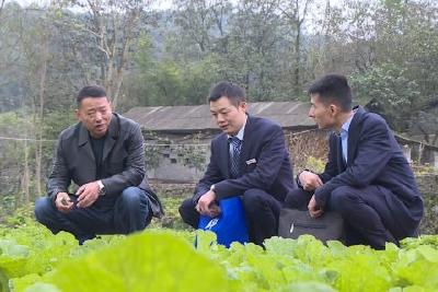 五峰农商银行：金融村官“贷”动乡村振兴