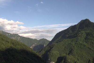 加强野生动植物保护 提升生物多样性水平