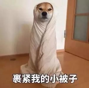 🥶🥶🥶降温+雨雪！宜昌天气→