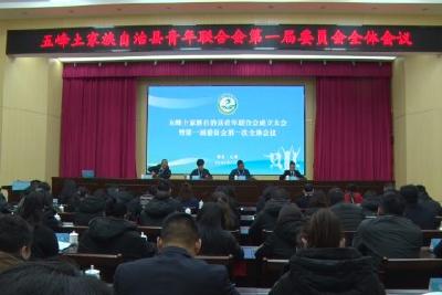 我县青年联合会成立