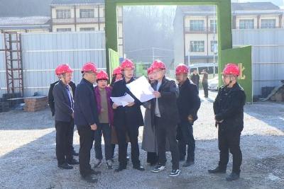 覃业成到长乐坪镇调研督导重点项目建设和安全生产工作