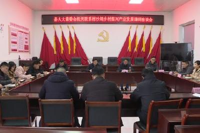 文牧到渔洋关镇沙淌村调研