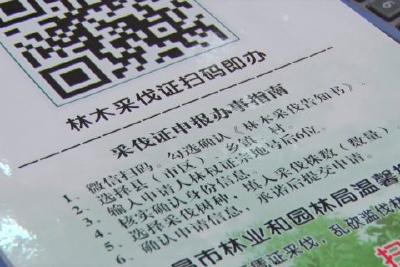 扫码“两选两填” 采伐办证掌上申领